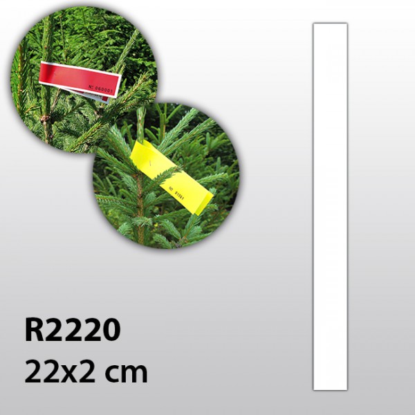 Weihnachtsbaum-Etiketten R2220Y